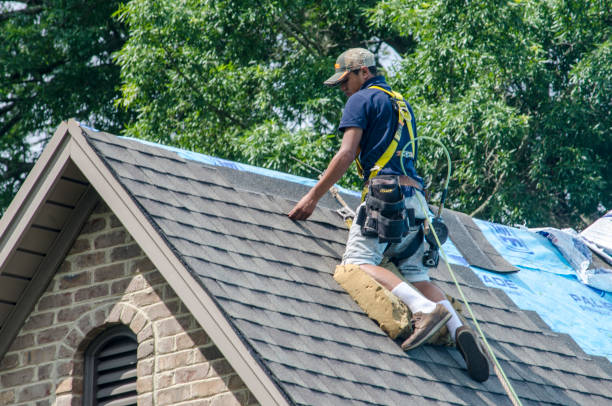 Roof Gutter Cleaning in Sparks, TX